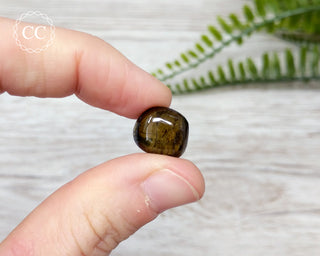 Dravite Tourmaline Small Tumbled Crystal