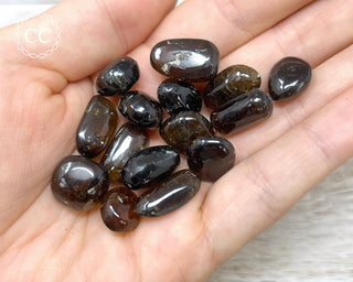 Dravite Tourmaline Small Tumbled Crystals in hand