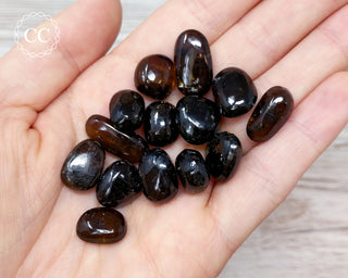 Dravite Tourmaline Tumbled Crystals in hand