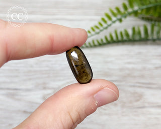 Dravite Tourmaline Small Tumbled Crystal