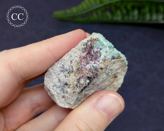 Druzy Chrysocolla with Malachite Specimen #8