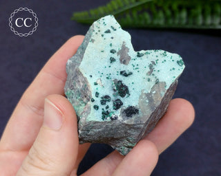 Druzy Chrysocolla with Malachite Specimen #4