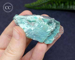 Druzy Chrysocolla with Malachite Specimen #7