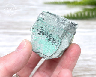 Druzy Chrysocolla with Malachite Specimen #1