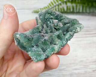 Druzy Colorado Fluorite #7