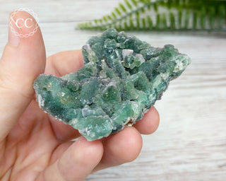 Druzy Colorado Fluorite #7