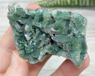 Druzy Colorado Fluorite #7