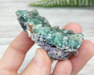 Druzy Colorado Fluorite #7