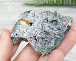 Druzy Colorado Fluorite #7