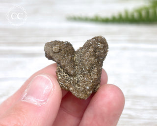 Druzy Fossil Wood Specimen #12