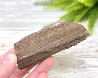 Druzy Permineralised Fossil Wood #2