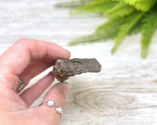 Druzy Permineralised Fossil Wood #2