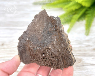 Druzy Permineralised Fossil Wood #1