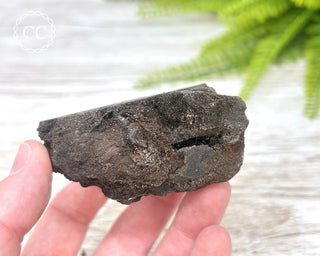 Druzy Permineralised Fossil Wood #4