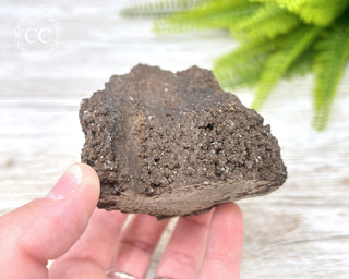 Druzy Permineralised Fossil Wood #1