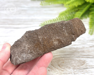 Druzy Permineralised Fossil Wood #5