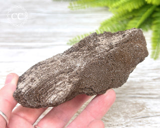 Druzy Permineralised Fossil Wood #5