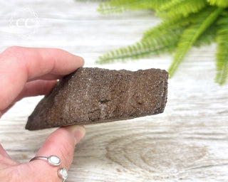 Druzy Permineralised Fossil Wood #5