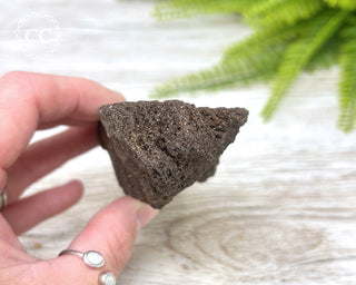 Druzy Permineralised Fossil Wood #5