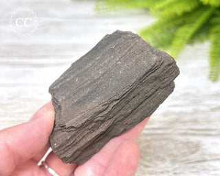 Druzy Permineralised Fossil Wood #6