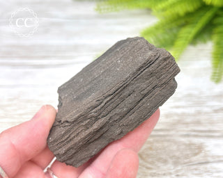 Druzy Permineralised Fossil Wood #6