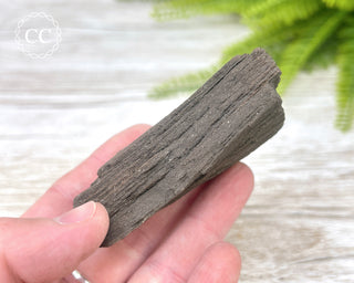 Druzy Permineralised Fossil Wood #6