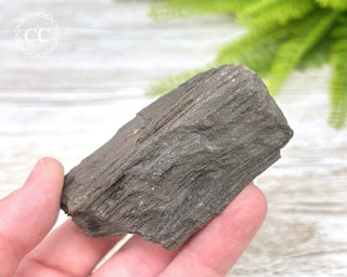 Druzy Permineralised Fossil Wood #6