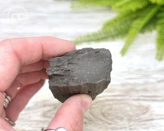 Druzy Permineralised Fossil Wood #6