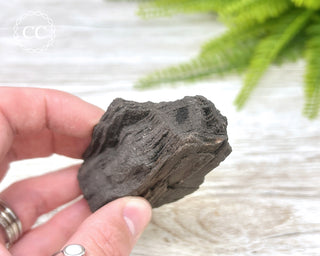 Druzy Permineralised Fossil Wood #6