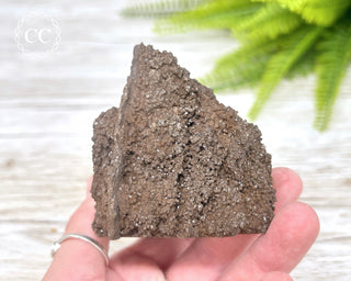 Druzy Permineralised Fossil Wood #1