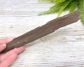 Druzy Permineralised Fossil Wood #8