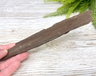 Druzy Permineralised Fossil Wood #8