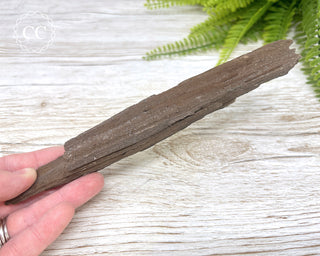 Druzy Permineralised Fossil Wood #8