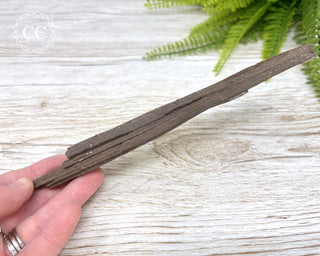 Druzy Permineralised Fossil Wood #8