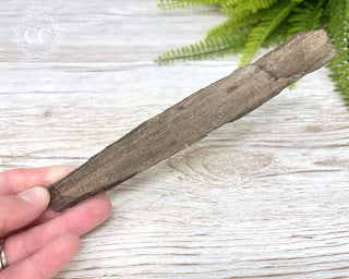 Druzy Permineralised Fossil Wood #8