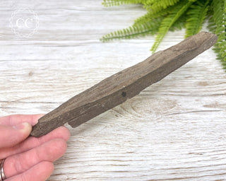 Druzy Permineralised Fossil Wood #8