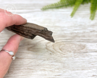 Druzy Permineralised Fossil Wood #8