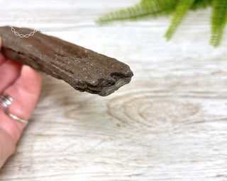 Druzy Permineralised Fossil Wood #8