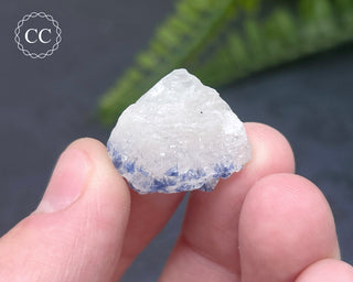 Dumortierite in Quartz Specimen #13