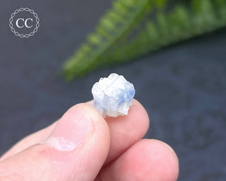 Dumortierite in Quartz Specimen #17