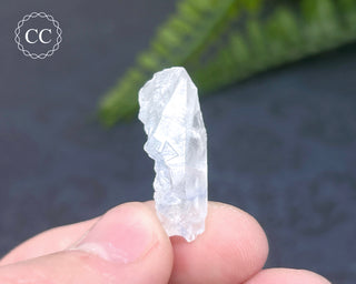Dumortierite in Quartz Specimen #18