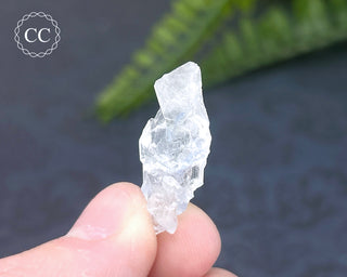 Dumortierite in Quartz Specimen #18