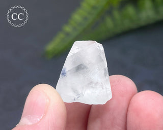 Dumortierite in Quartz Specimen #1