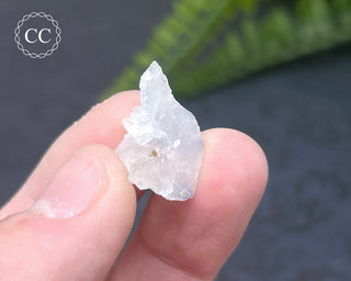 Dumortierite in Quartz Specimen #7