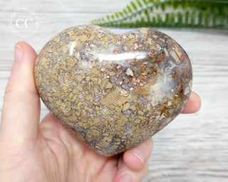 Eggshell Jasper Heart | Ibis Jasper #3