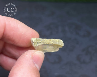 Ethiopian Opal Specimen #7