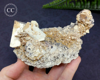 Feldspar Cluster - Namibia #4