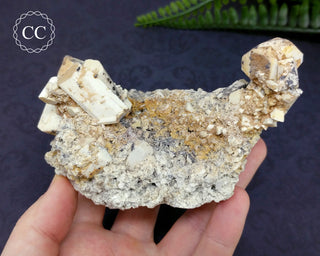 Feldspar Cluster - Namibia #4