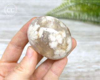 Flower Agate Chunky Palm Stone #5