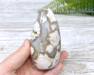 Flower Agate Freeform #6